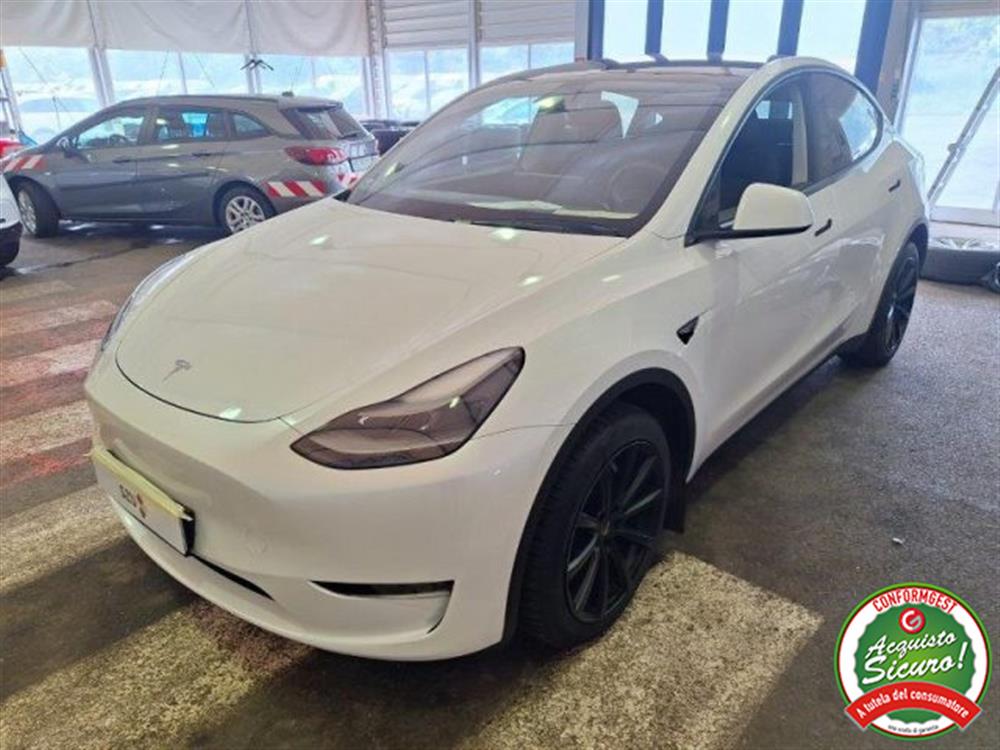 Model Y Model Y Long Range AWD