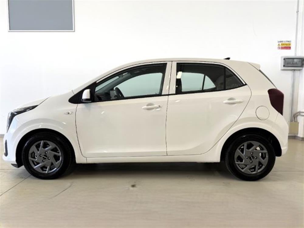 Picanto Picanto 1.0 12V 5 porte Urba