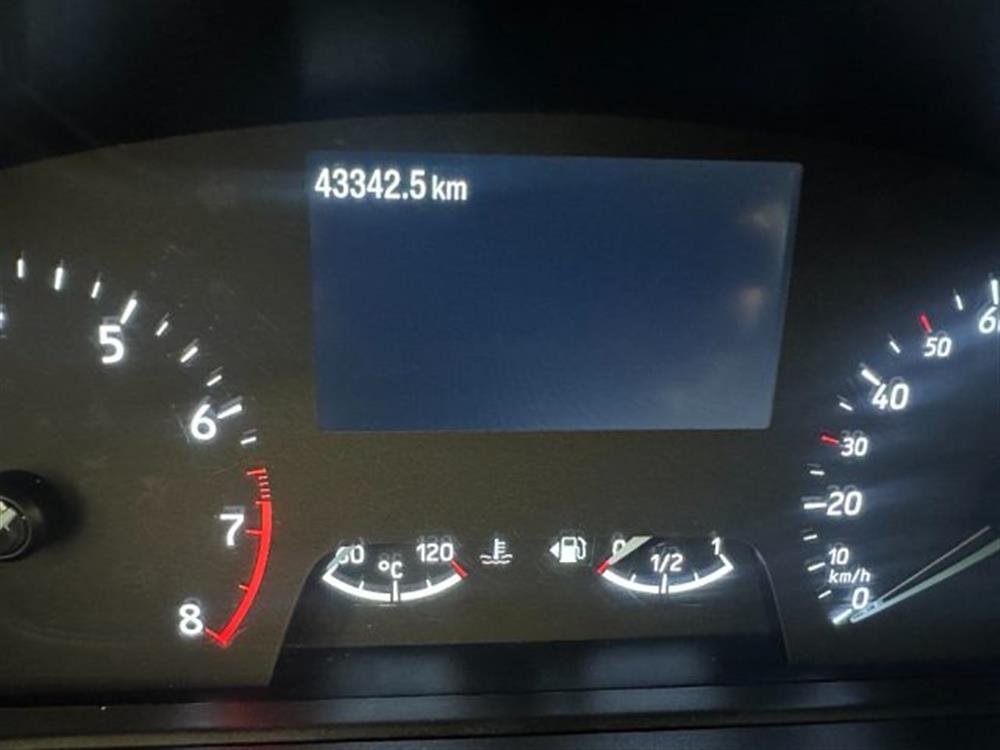 Puma Puma 1.000 BENZINA HYBRID