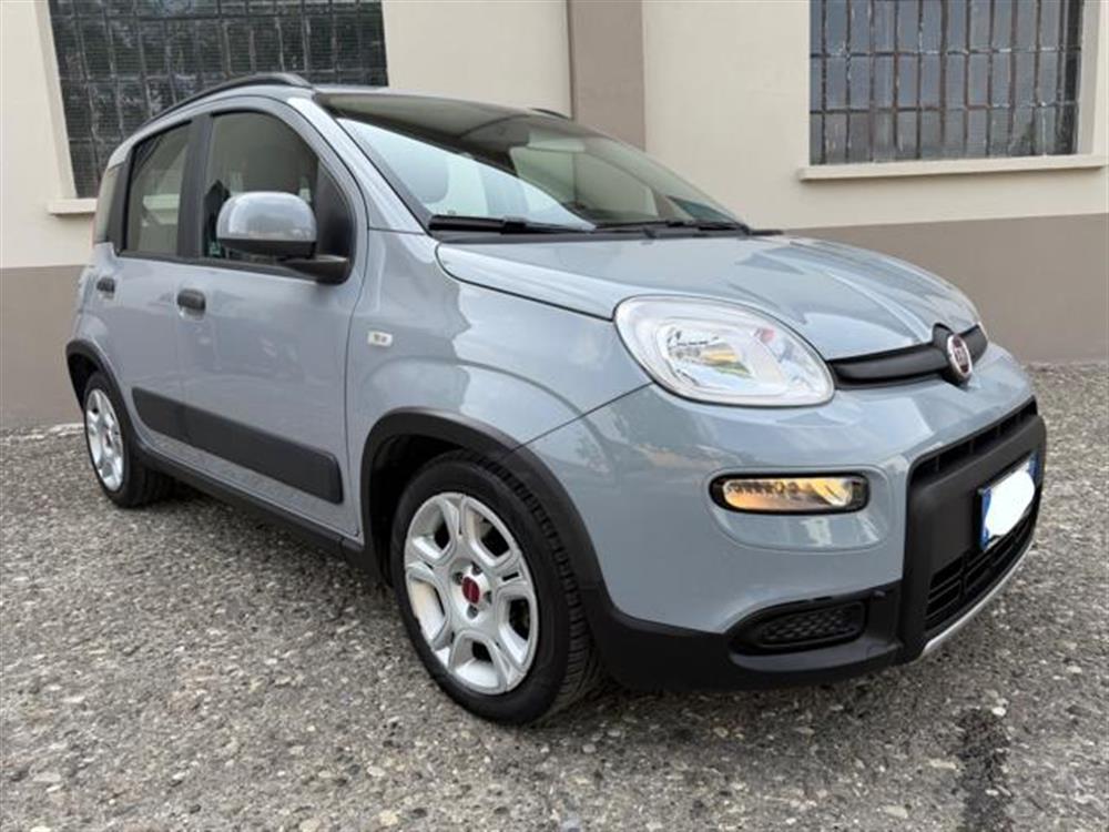 Panda Panda IN PROMOZIONE!!!1.0