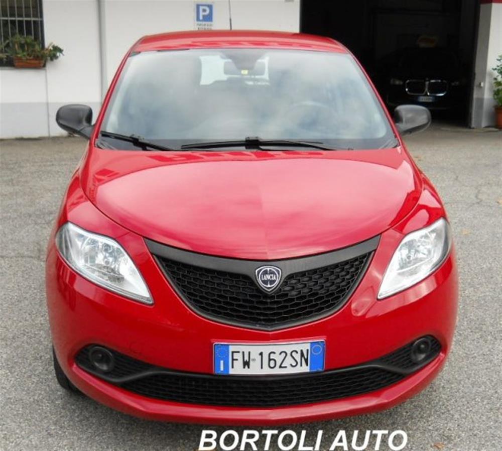 Ypsilon Ypsilon 1.2 ELEFANTINO BLU 1
