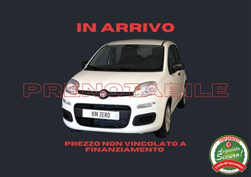 Pandina Pandina 1.0 FireFly 65 CV Hy