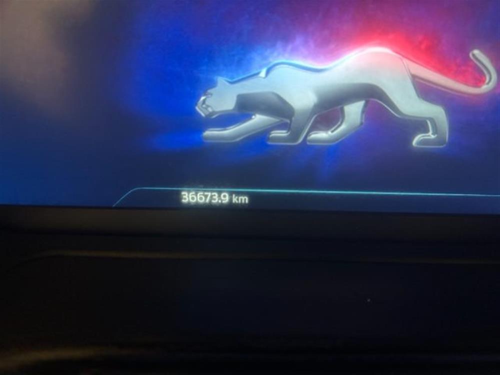Puma Puma 1.000 BENZINA HYBRID