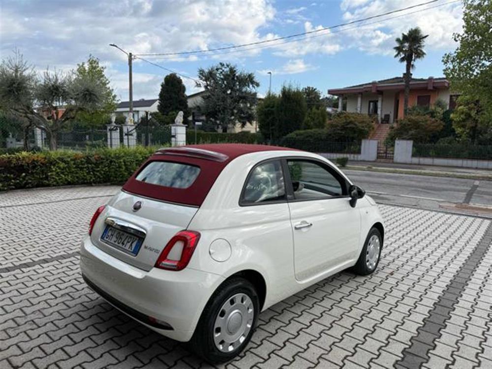 500 500 C 1.0 Hybrid Cult