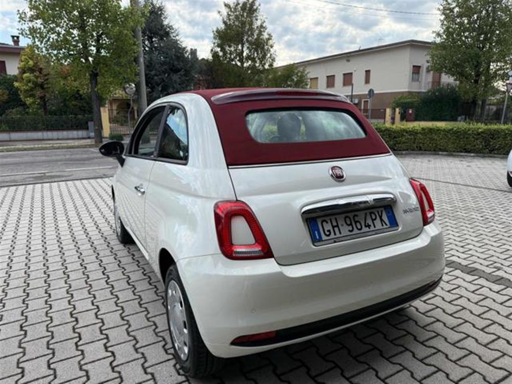 500 500 C 1.0 Hybrid Cult