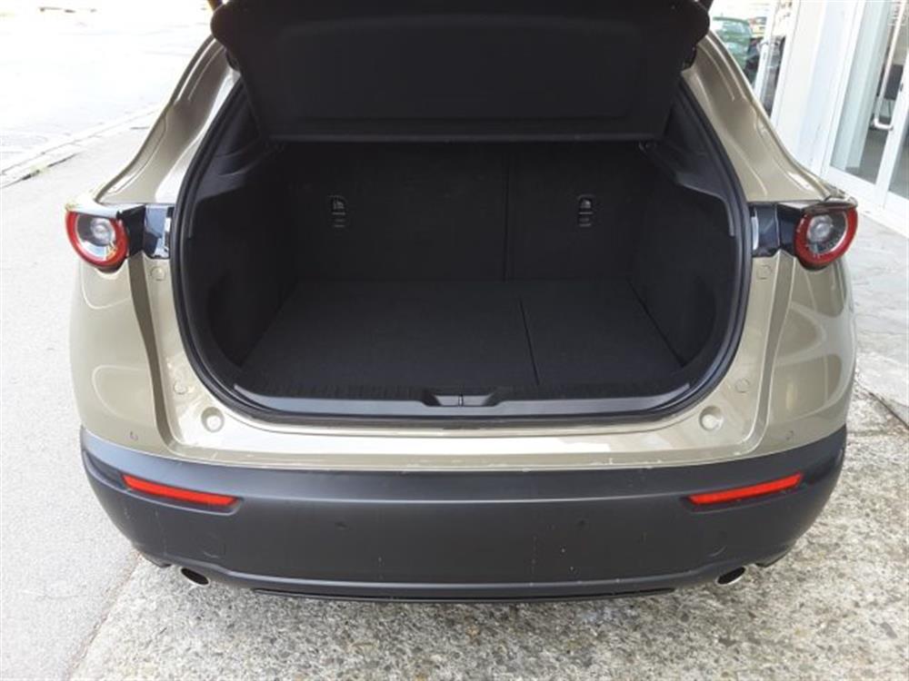 CX-30 CX-30 2.5 e-Skyactiv-G 140