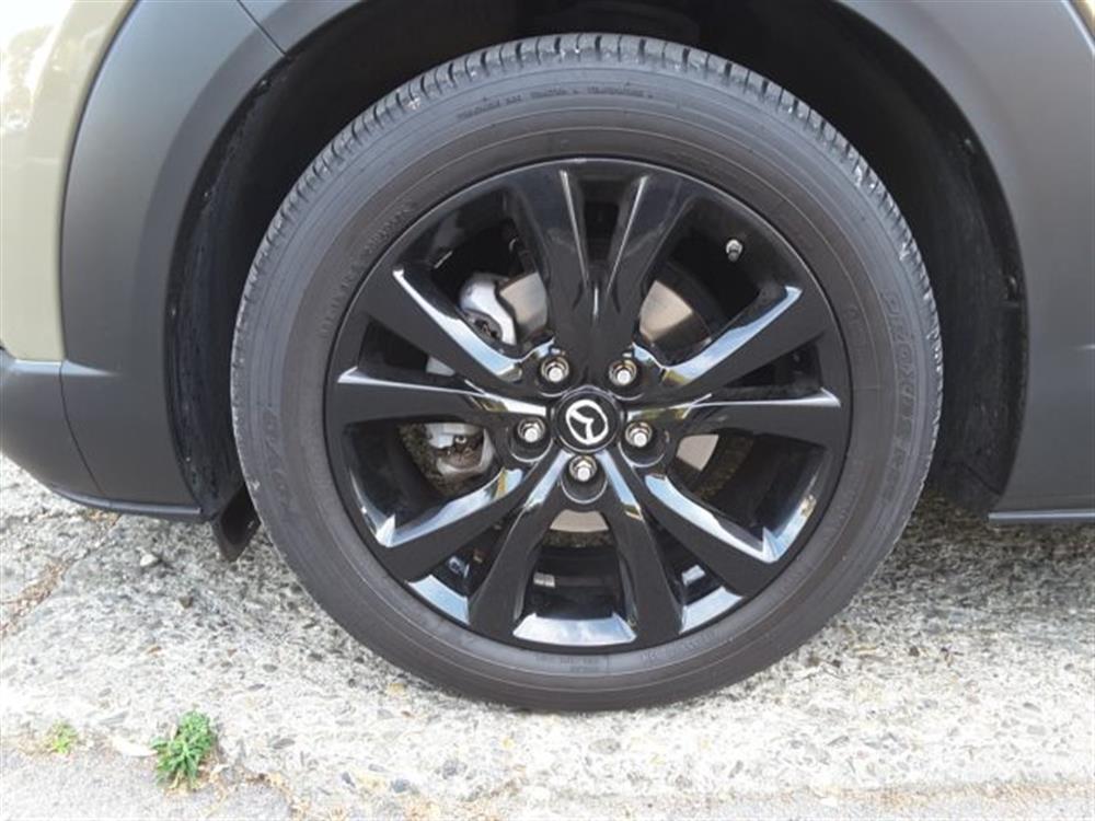 CX-30 CX-30 2.5 e-Skyactiv-G 140