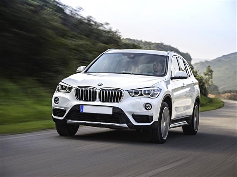 X1 X1 xDrive25e Business A