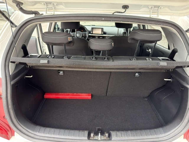 PICANTO PICANTO -