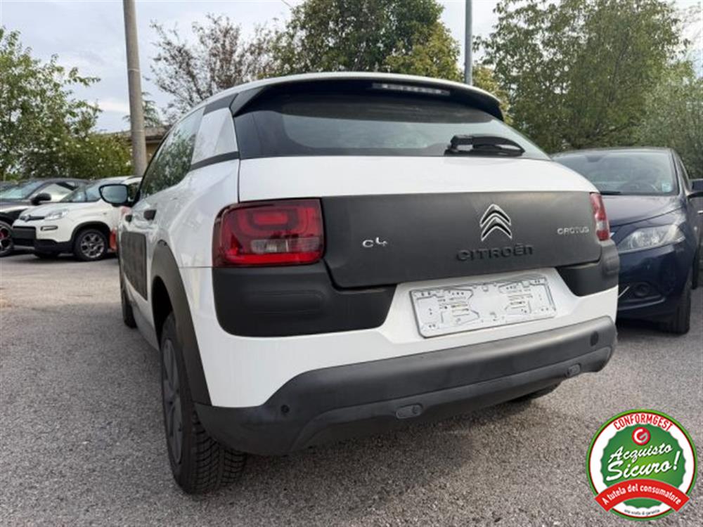 C4 Cactus C4 Cactus PureTech 75 ADATTA A