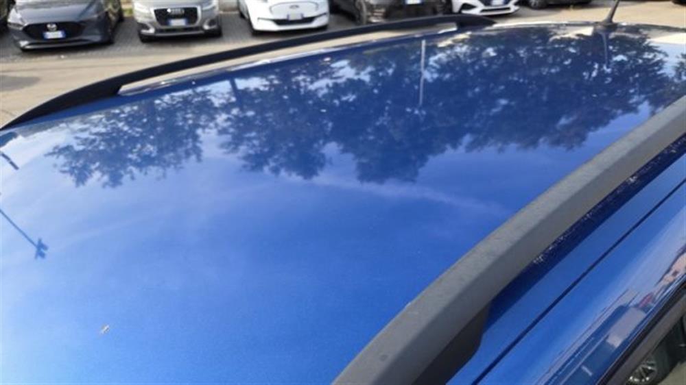 Fabia Fabia 1.4 TDI 75 CV Wagon
