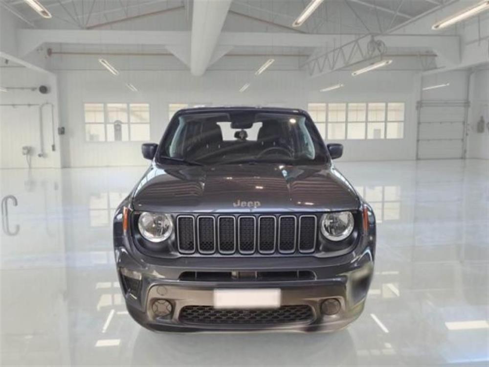 Renegade Renegade 1.6 Mjt 130 CV Longi