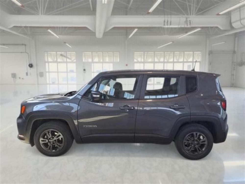Renegade Renegade 1.6 Mjt 130 CV Longi