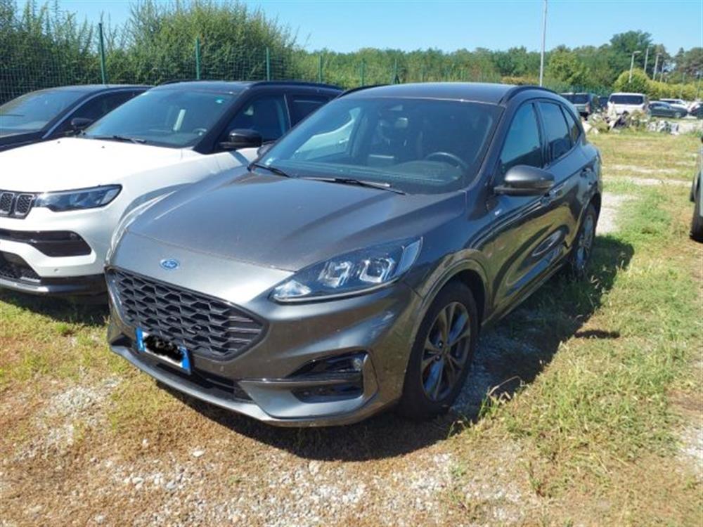 Kuga Kuga 2.0 EcoBlue 120 CV a