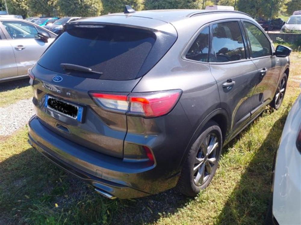 Kuga Kuga 2.0 EcoBlue 120 CV a