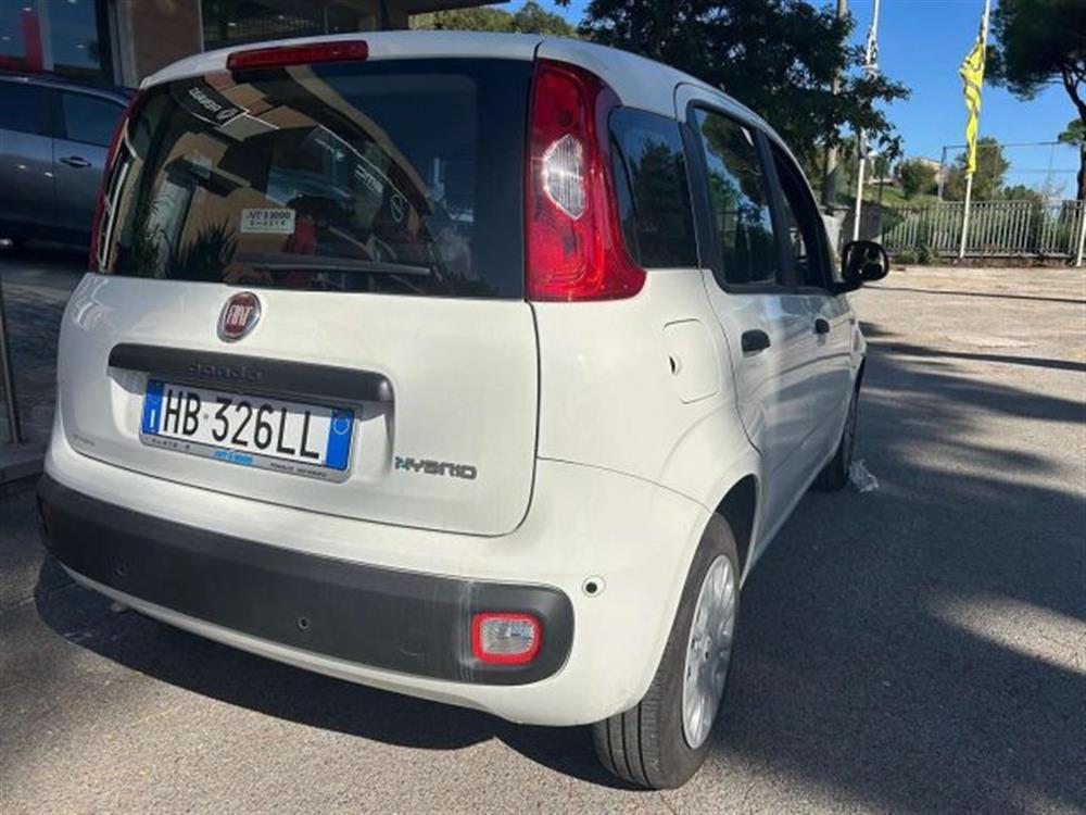 Panda Panda III 2024 1.0 FireFly