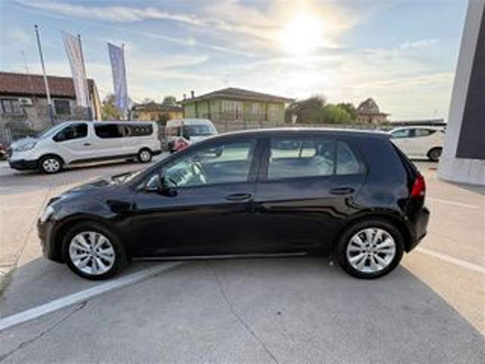 Golf Golf 1.6 TDI DPF 5p. Blue