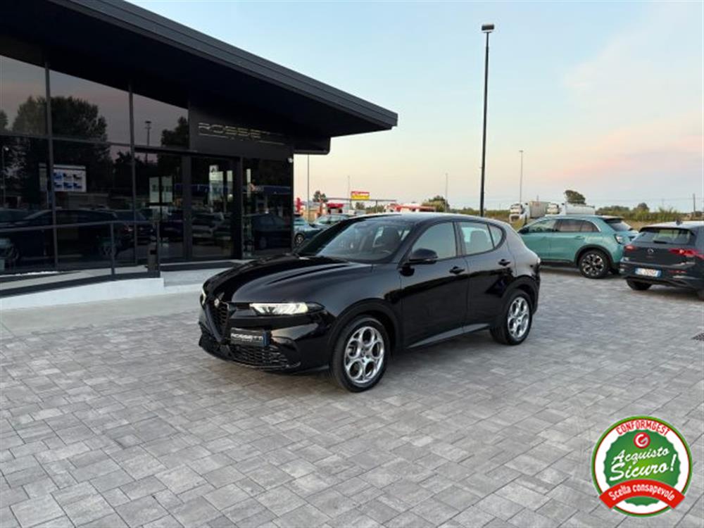 Tonale Tonale 1.6 diesel 130 CV TC