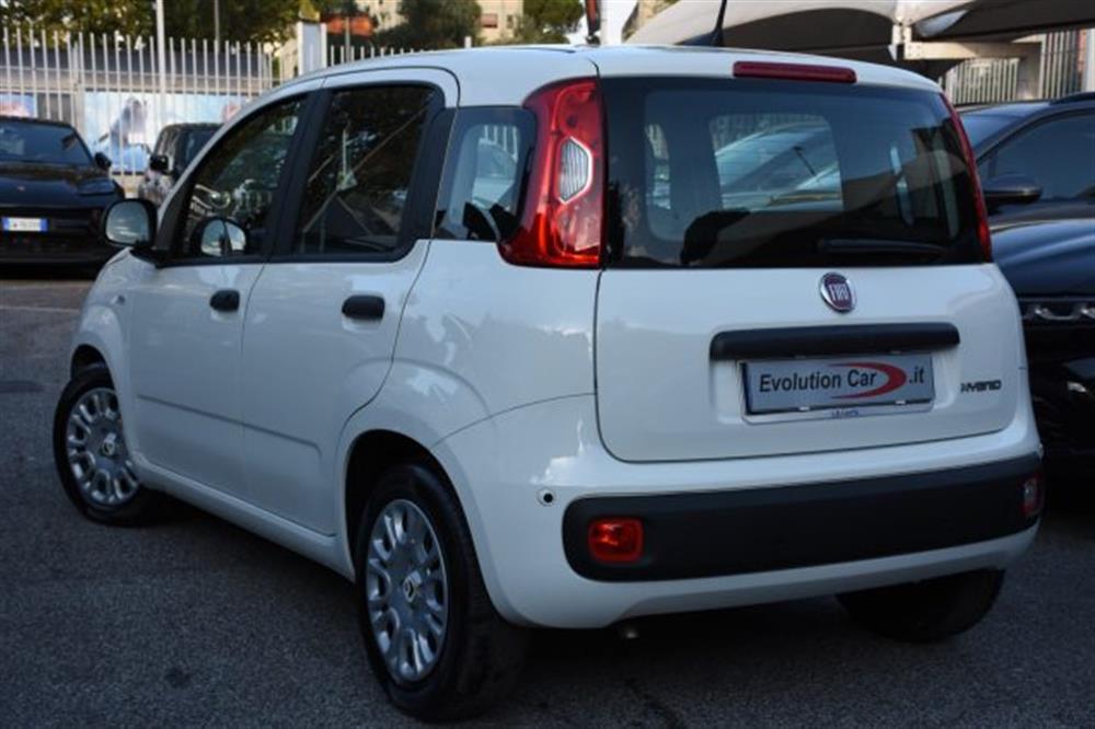 Panda Panda 1.0 FireFly S&S Hybr