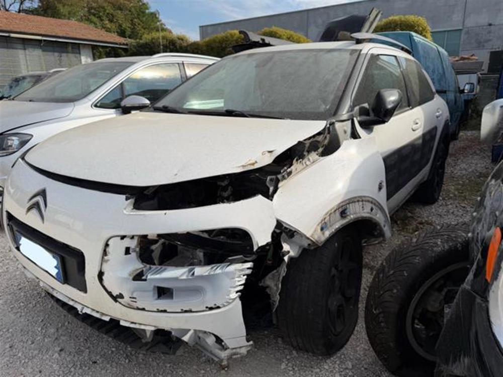 C4 Cactus C4 Cactus INCIDENTATA PureTech