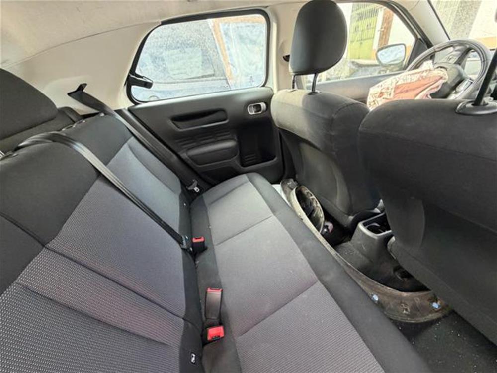C4 Cactus C4 Cactus INCIDENTATA PureTech