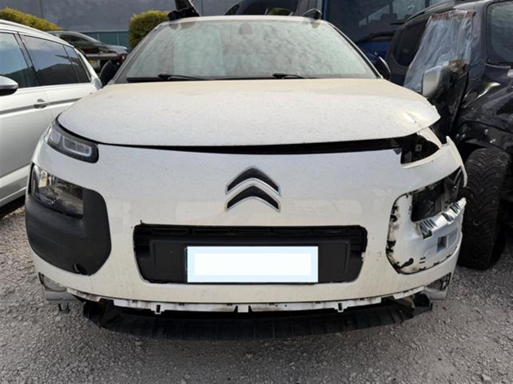 C4 Cactus C4 Cactus INCIDENTATA PureTech