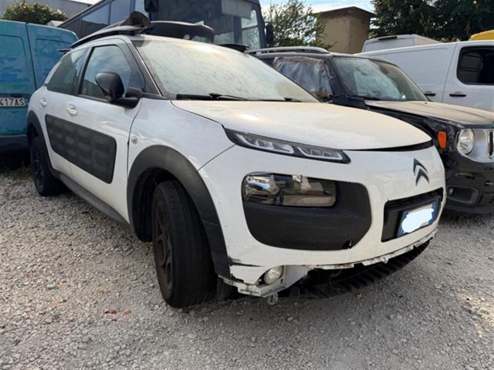 C4 Cactus C4 Cactus INCIDENTATA PureTech