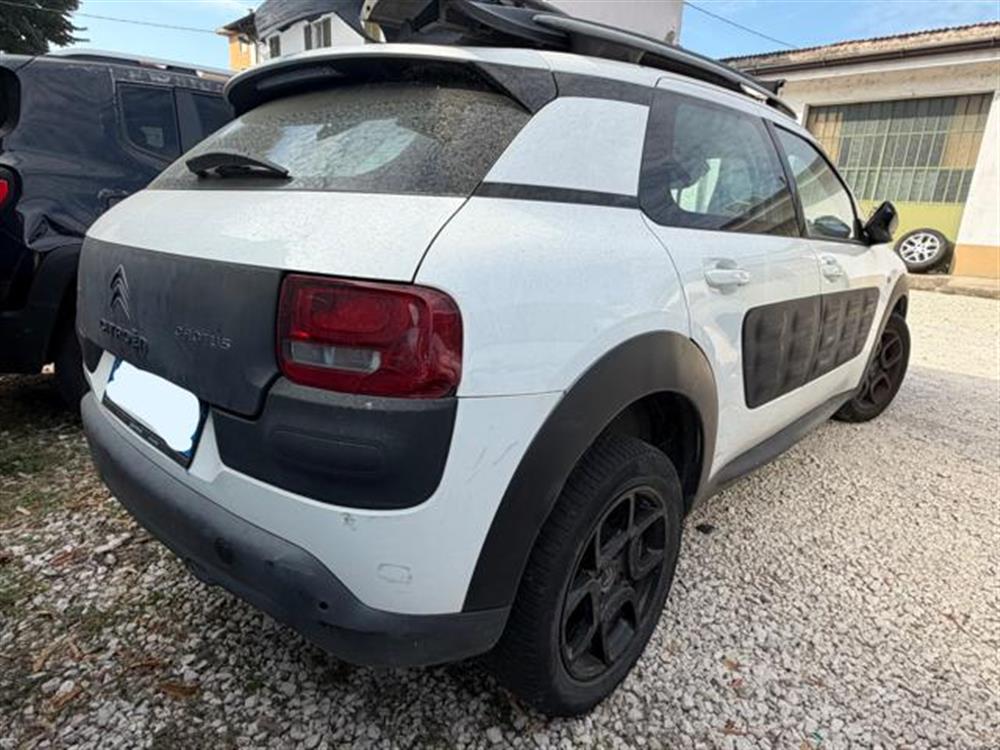 C4 Cactus C4 Cactus INCIDENTATA PureTech