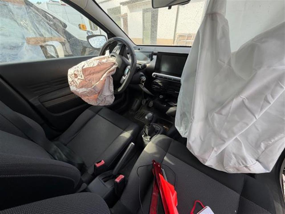 C4 Cactus C4 Cactus INCIDENTATA PureTech