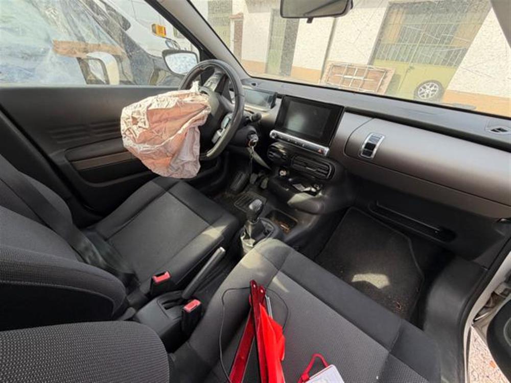 C4 Cactus C4 Cactus INCIDENTATA PureTech