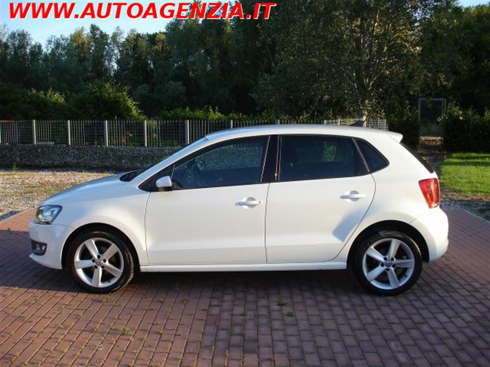 Polo Polo 1.6 TDI 90CV 5 porte