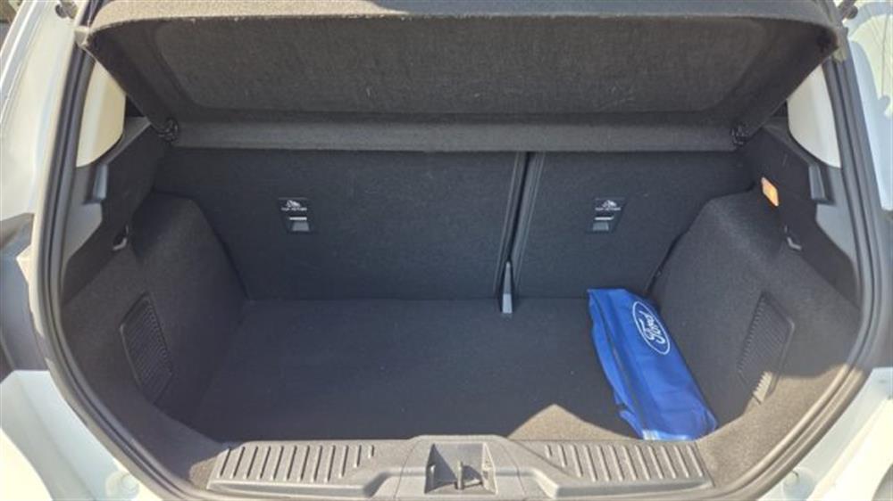 Fiesta Fiesta 1.1 75 CV 5 porte Ti