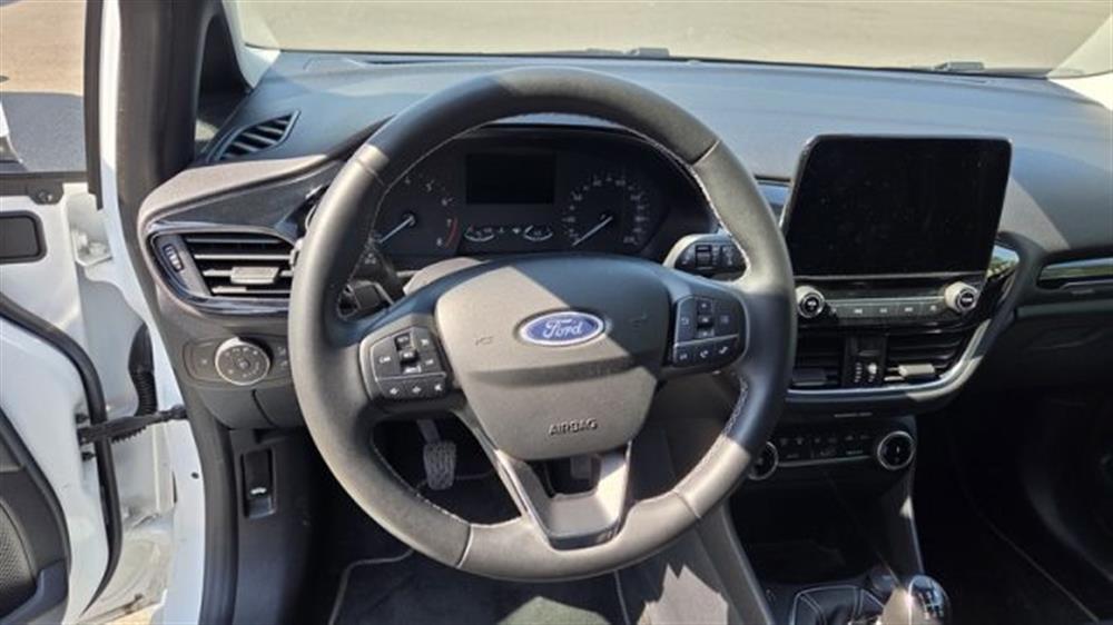 Fiesta Fiesta 1.1 75 CV 5 porte Ti
