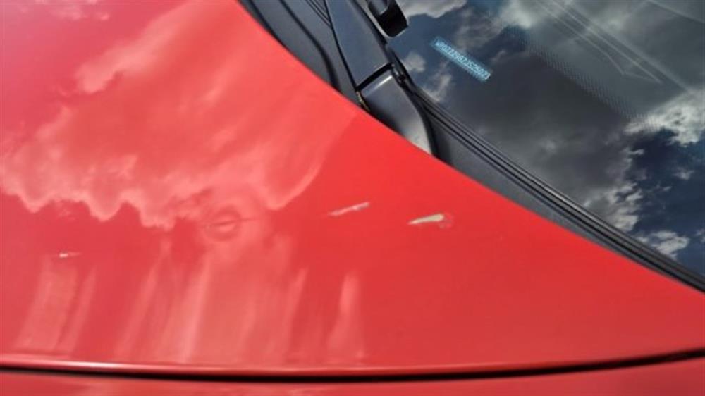 Cayman Cayman 718 Cayman 2.0 PERMU
