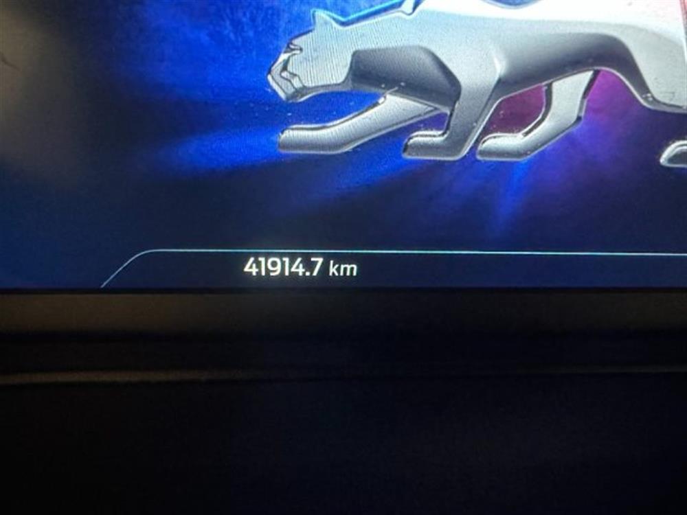 Puma Puma 1.000 BENZINA HYBRID