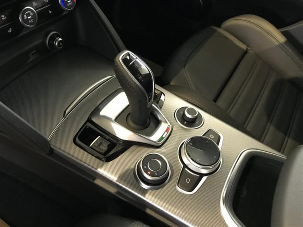 Stelvio Stelvio 2.2 Td 210CV AT8 Q4