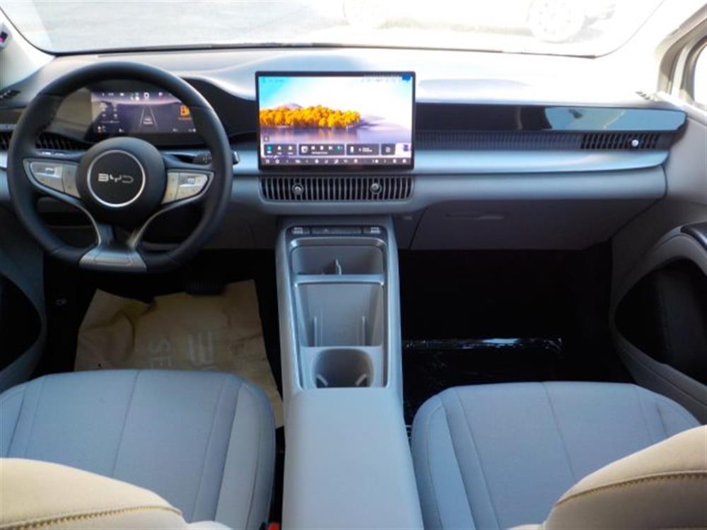 DOLPHIN G DM-i DOLPHIN G DM-i 1.5 L PHEV Plug-in H