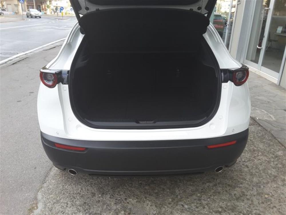 CX-30 CX-30 2.5 e-Skyactiv-G 140