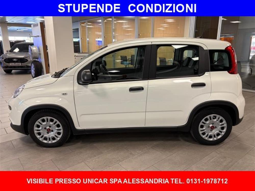 Panda Panda 1.0 ibrida/benzina
