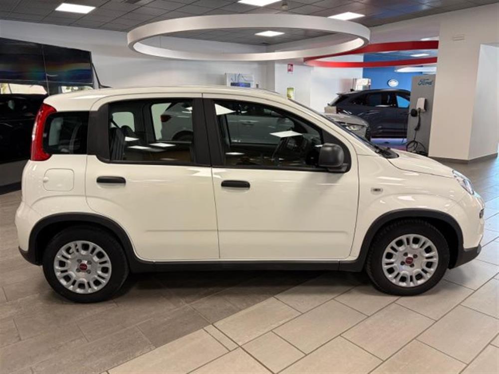 Panda Panda 1.0 ibrida/benzina