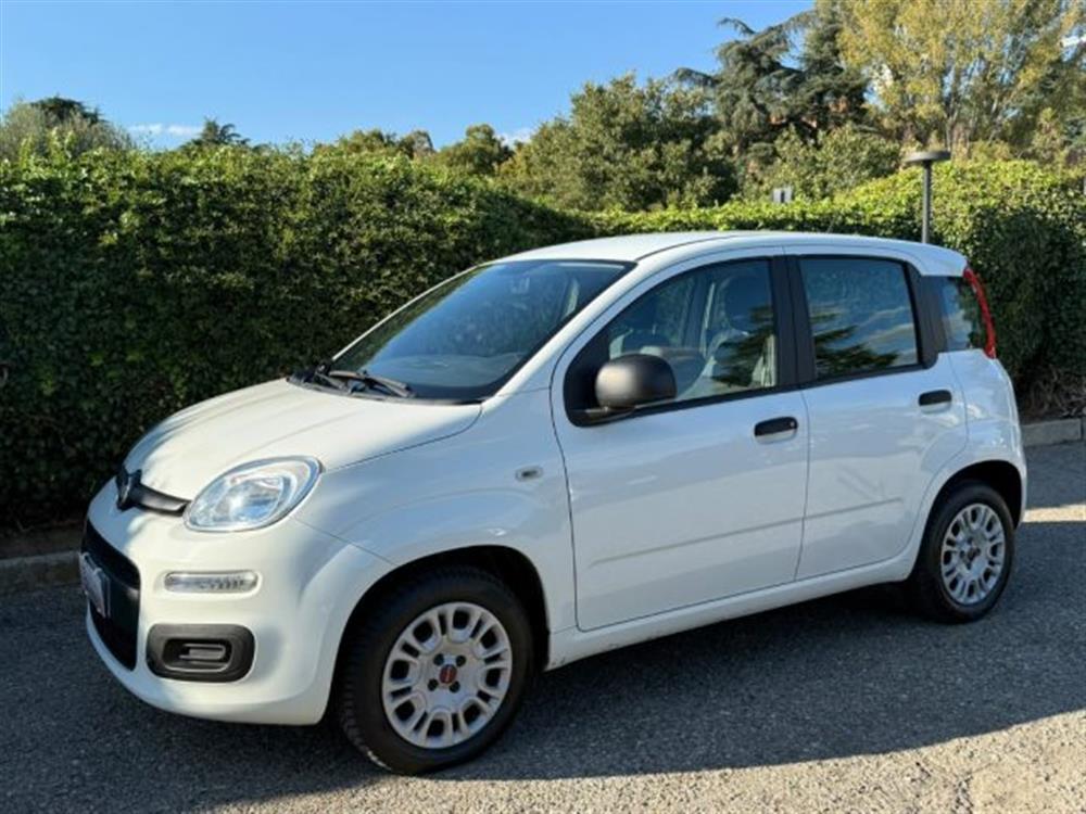 Panda Panda 1.2 Easy NEOPATENTAT