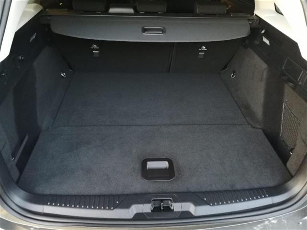 Focus Focus 1.5 EcoBlue 115 CV a