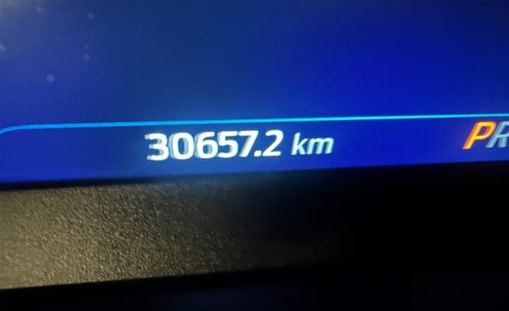 Focus Focus 1.000 BENZINA HYBRID