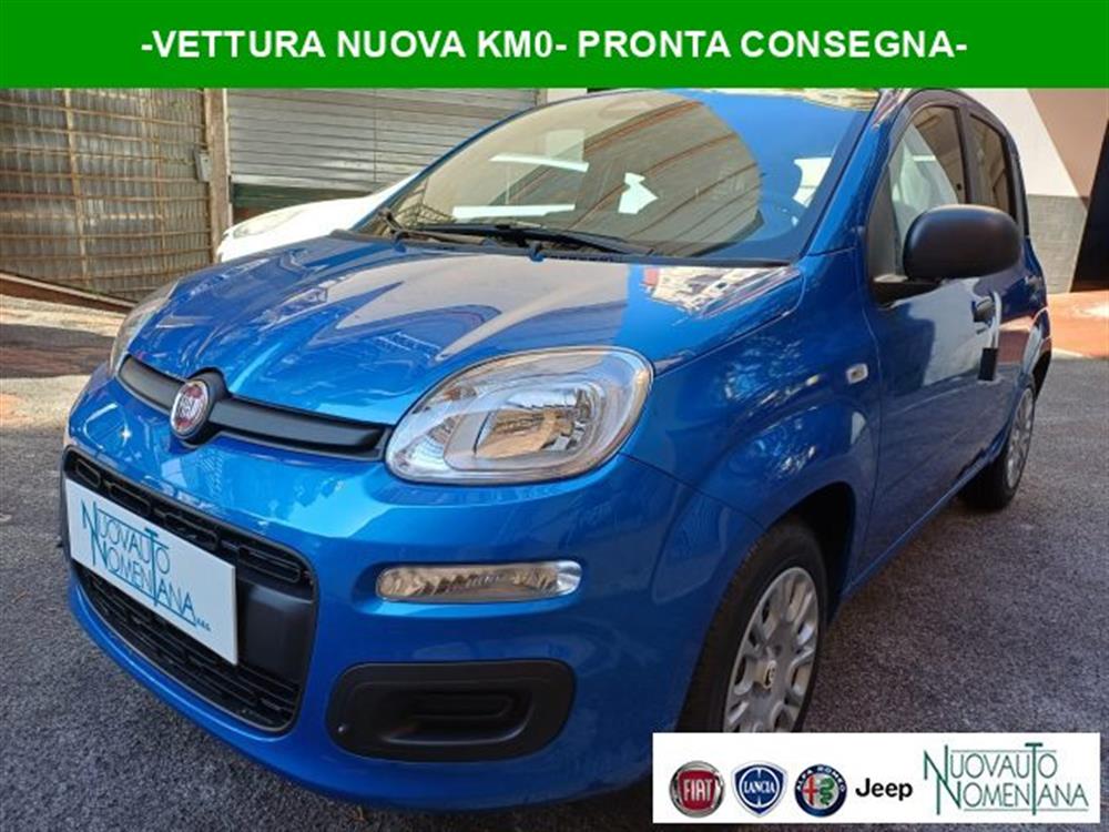 Panda Panda Pandina 1.0 FireFly
