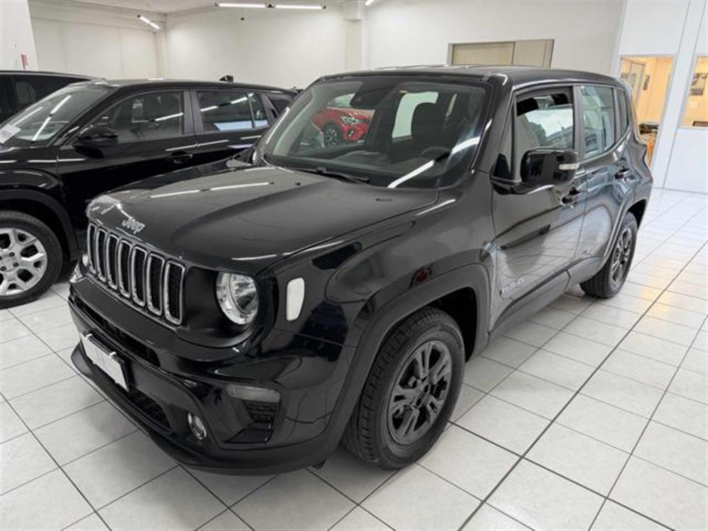 Renegade Renegade 1.6 Mjt 130 CV Longi