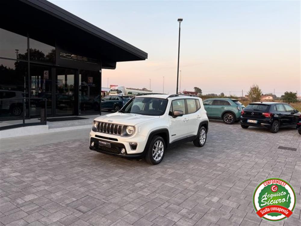 Renegade Renegade 1.6 Mjt Limited ANCH