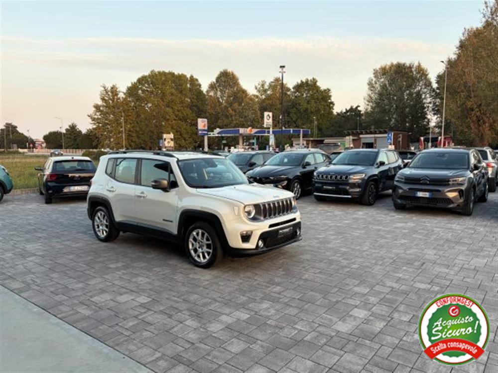 Renegade Renegade 1.6 Mjt Limited ANCH