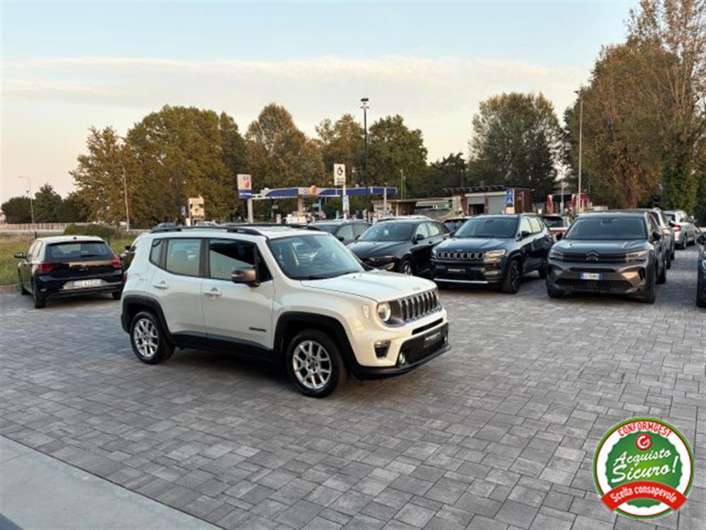 Renegade Renegade 1.6 Mjt Limited ANCH