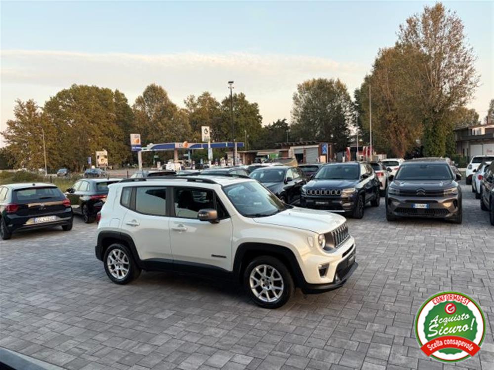 Renegade Renegade 1.6 Mjt Limited ANCH