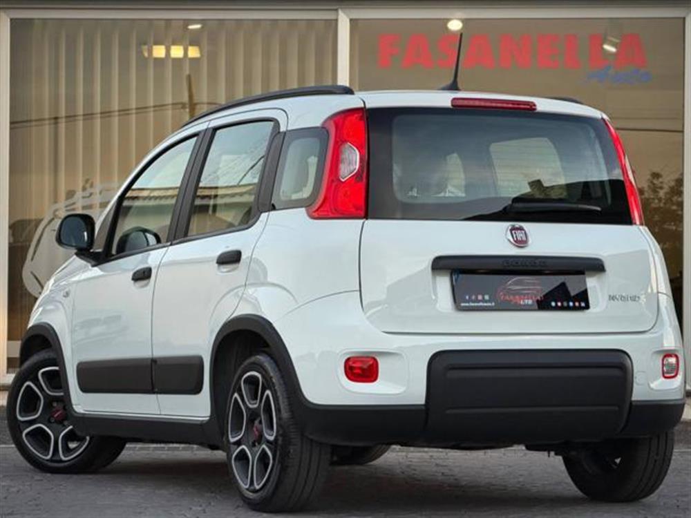 Panda Panda 1.0 FIREFLY S&S HYBR